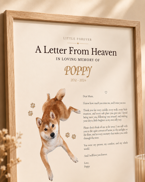 Close-up of A Letter From Heaven personalized pet memorial print with pet name and letter